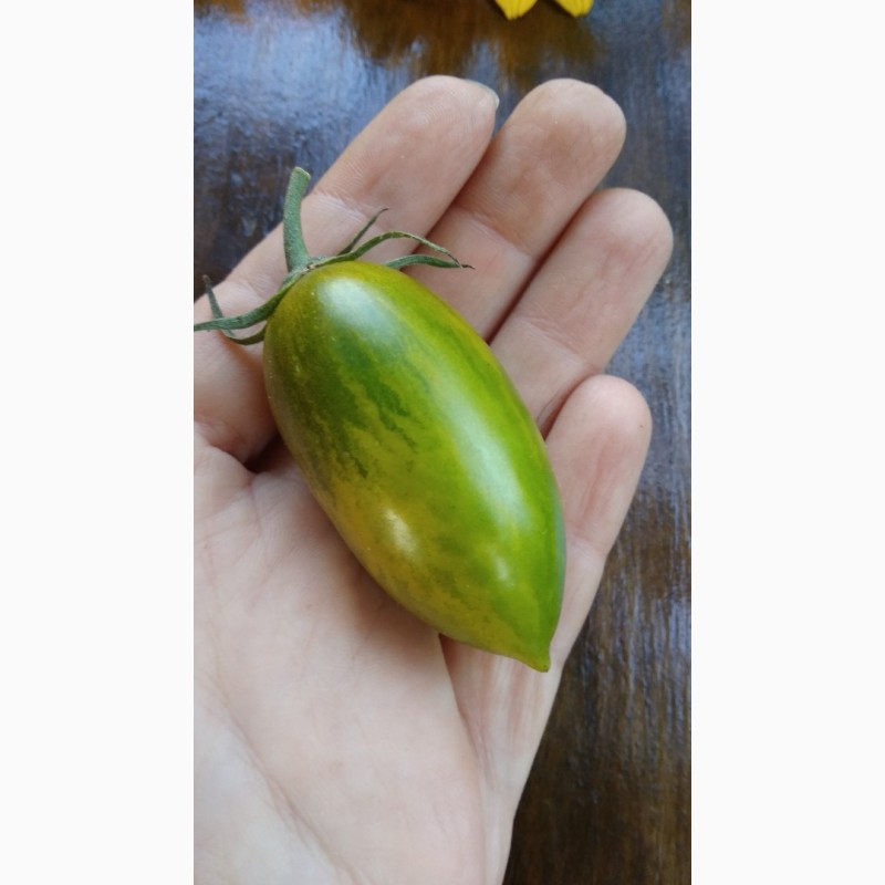 Фото 14. Продам семена экзотических томатов, помидор, личная коллекция, сезон 2021-2022
