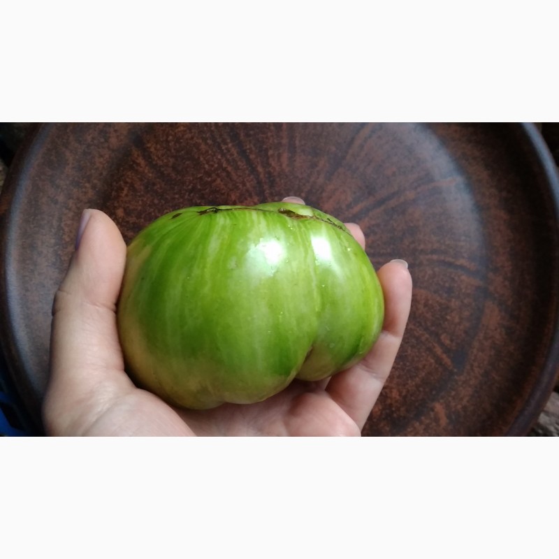 Фото 17. Продам семена экзотических томатов, помидор, личная коллекция, сезон 2021-2022