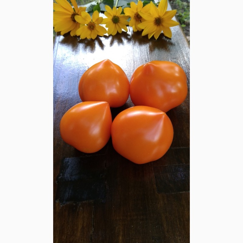 Фото 20. Продам семена экзотических томатов, помидор, личная коллекция, сезон 2021-2022