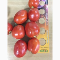 Продам помидор сорт Чибли Производитель