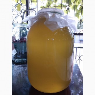 Продам мед майский свежий