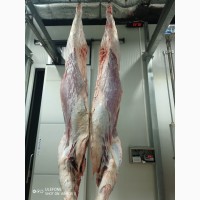 Виробник яловичини преміум-класу пропонує охолоджені напівтуші бика