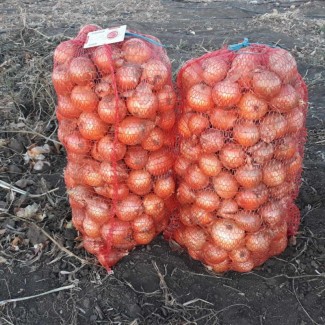 Продаж цибулі ріпчастої, Вінницька область