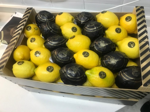 Фото 10. Продаем Лимон Испания