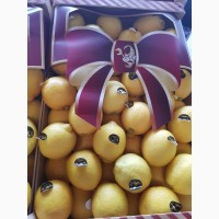 Продаем Лимон Испания