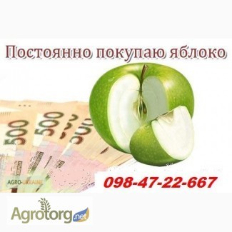 На постоянной основе предприятие покупает яблоко урожая 2016