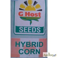Семена кукурузы G HOST