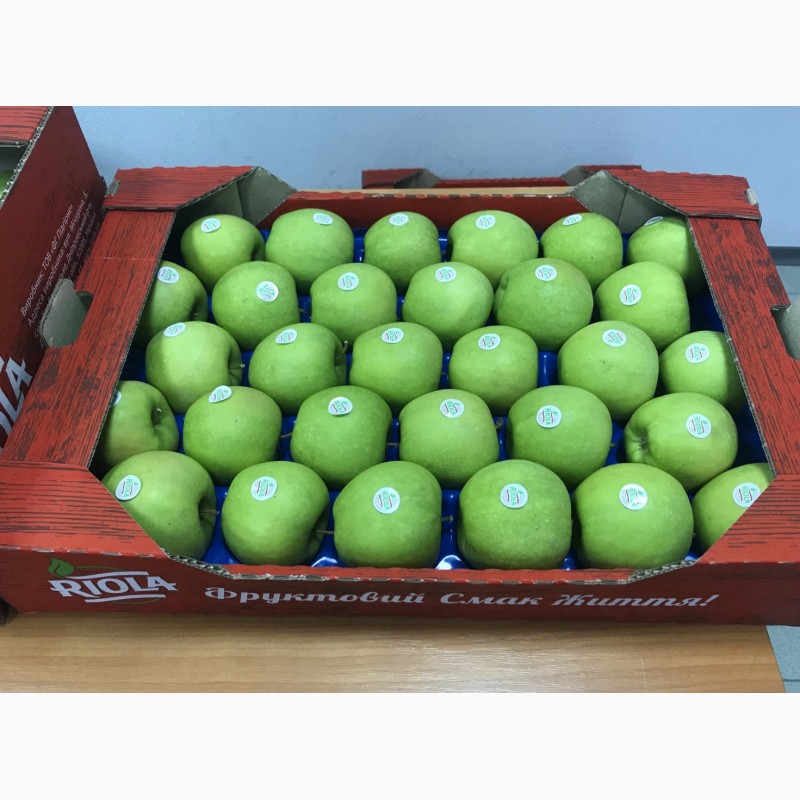 Фото 3. Продам яблоки RIOLA оптом по лучшим ценам. Сорта Фуджи, Гала, Голден Делишес, Гренни Смит