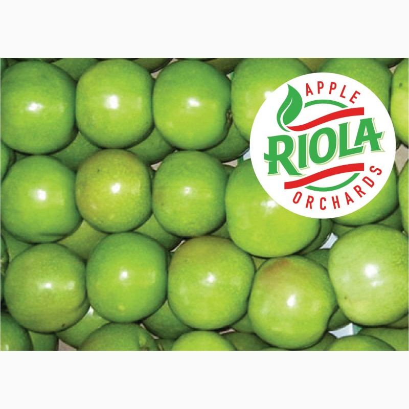Фото 4. Продам яблоки RIOLA оптом по лучшим ценам. Сорта Фуджи, Гала, Голден Делишес, Гренни Смит