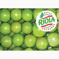 Продам яблоки RIOLA оптом по лучшим ценам. Сорта Фуджи, Гала, Голден Делишес, Гренни Смит