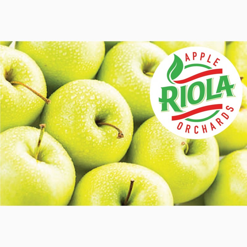 Фото 5. Продам яблоки RIOLA оптом по лучшим ценам. Сорта Фуджи, Гала, Голден Делишес, Гренни Смит