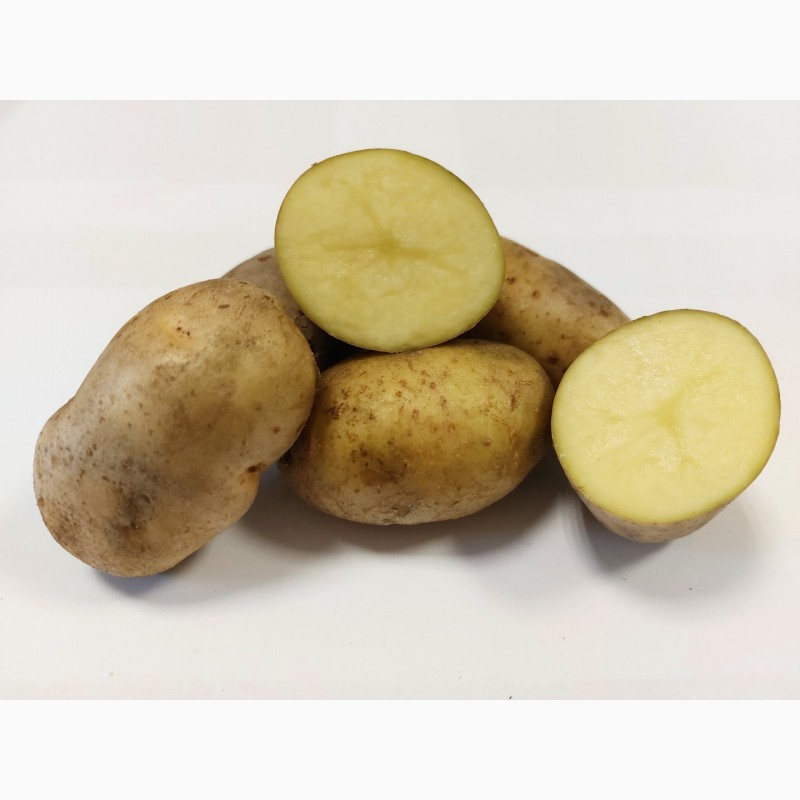 Фото 4. Картопля столова сортова, 20 кг