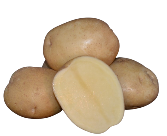 Фото 7. Картопля столова сортова, 20 кг