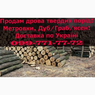 Продам сухі дрова метрівки (Дуб/Граб/Ясен) можливо з доставкою