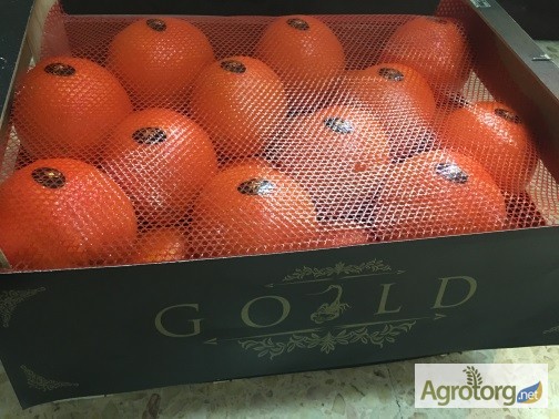 Фото 9. Продаем апельсин из Испании