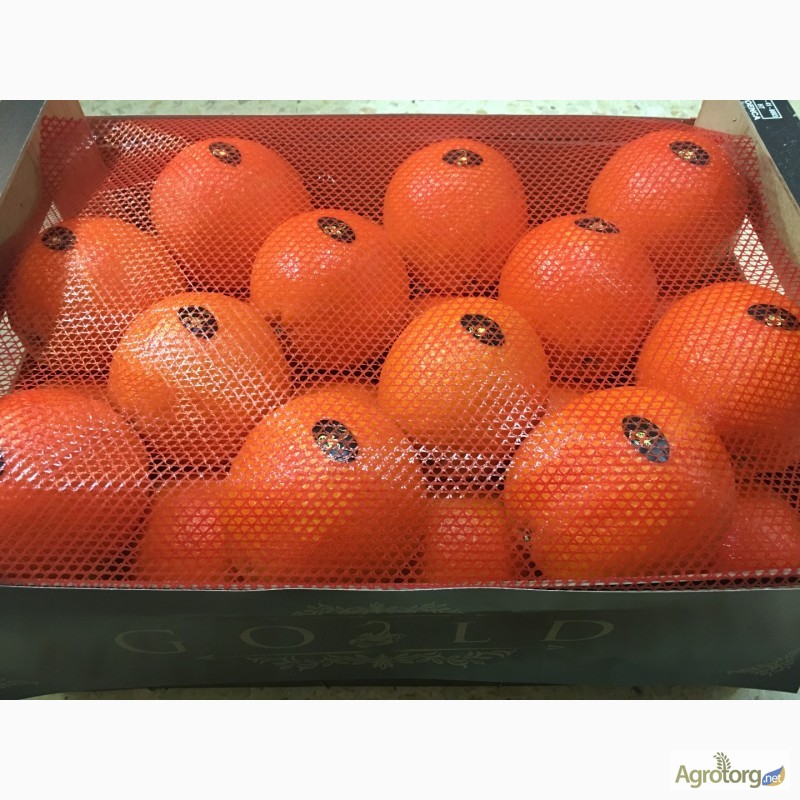 Фото 15. Продаем апельсин из Испании