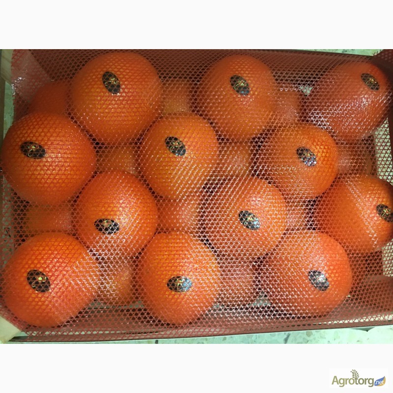 Фото 18. Продаем апельсин из Испании