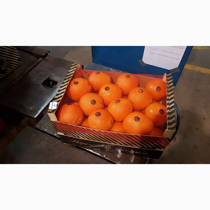 Фото 4. Продаем апельсин из Испании