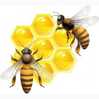 Белково - витаминная добавка для весенней подкормки пчел от производителя