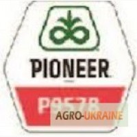 Семена кукурузы Pioneer П9578