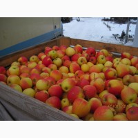 Реализуем яблоки