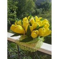 Продаю луковицы тюльпанов (желтые, белые)