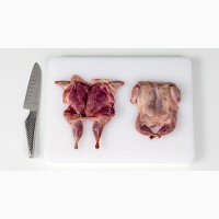 Мясо перепелов (несушка 6-9 месяцев)
