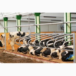 METALLDREAMUA. Cтійлове обладнання для тваринницьких ферм: корівників, телятників