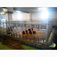 METALLDREAMUA. Cтійлове обладнання для тваринницьких ферм: корівників, телятників