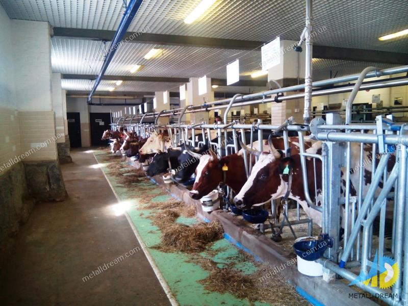 Фото 13. METALLDREAMUA. Cтійлове обладнання для тваринницьких ферм: корівників, телятників