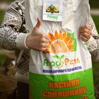 Продам насіння соняшнику Рекольд під гранстар, фр. преміум