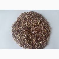 Продам семена чеснока Любаша 5+, 6, 7+ 50грн