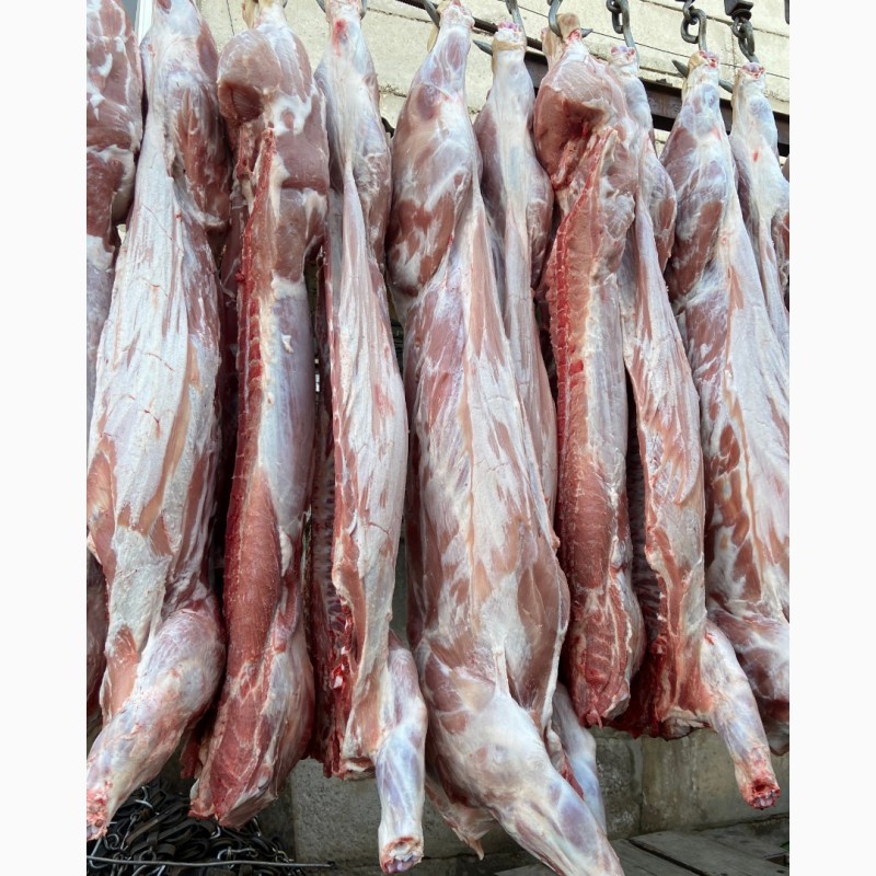 Фото 2. Охлажденное мясо свинины на кости полутуши