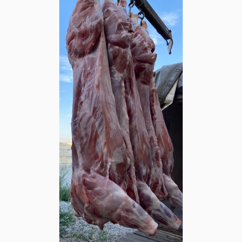 Фото 3. Охлажденное мясо свинины на кости полутуши
