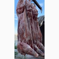 Охлажденное мясо свинины на кости полутуши