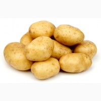 Куплю молодой картофель