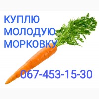 Куплю морковку оптом