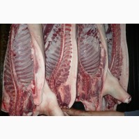 Мясо свинины Одесса заказ