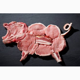 Куплю оптом свинину / говядину (мясо, субпродукты)