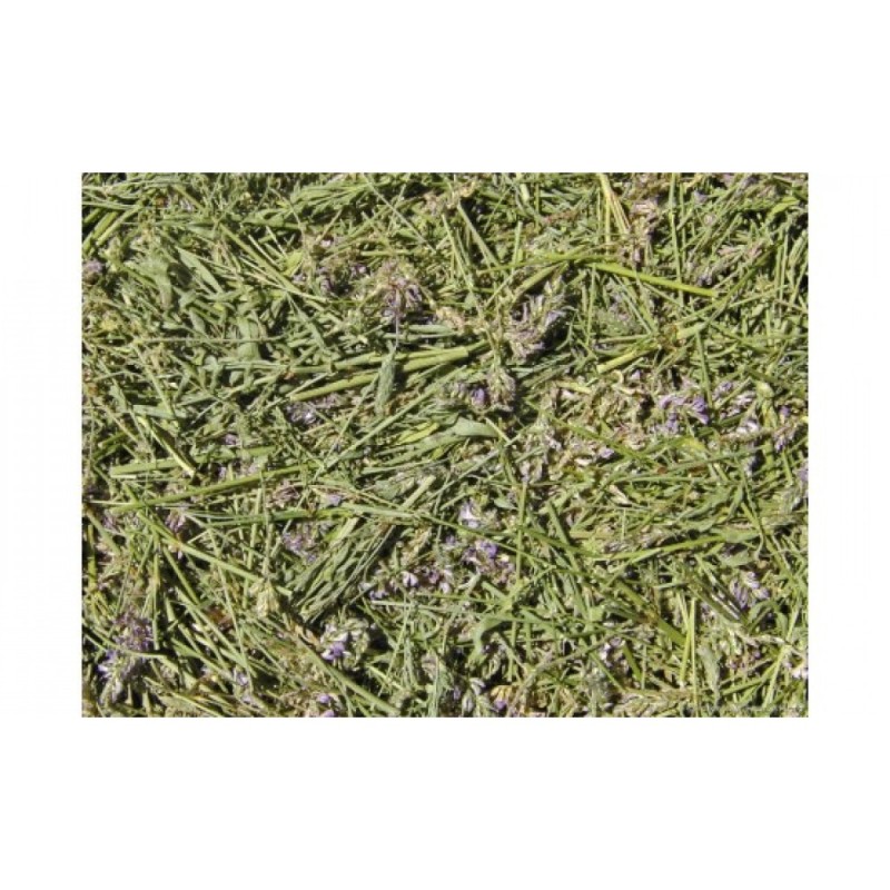 Эспарцет (трава) фасовка от 100 грамм - 1 кг