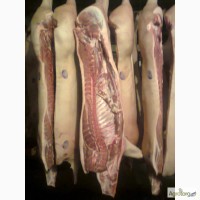 Свинина в напівтушах, м#039;ясо свинини без кістки, субпродукти свинні.