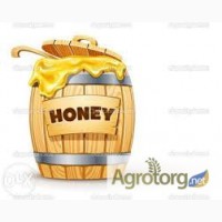 ТОВ МЕДОВЫЙ СТАНДАРТ закупает мед в неограниченном объеме. Цену уточняйте
