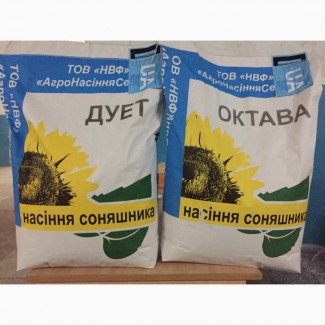 Высокоурожайные семена подсолнуха Октава и Дуэт - Агросемсервис ЮГ Украина
