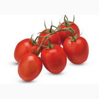 Крупным оптом продажа помидор
