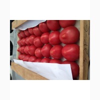 Реализуем оптом помидоры доставка продажа