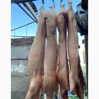 Полутуши охлажденные свиные Обрезная, Шпарка, Шмал