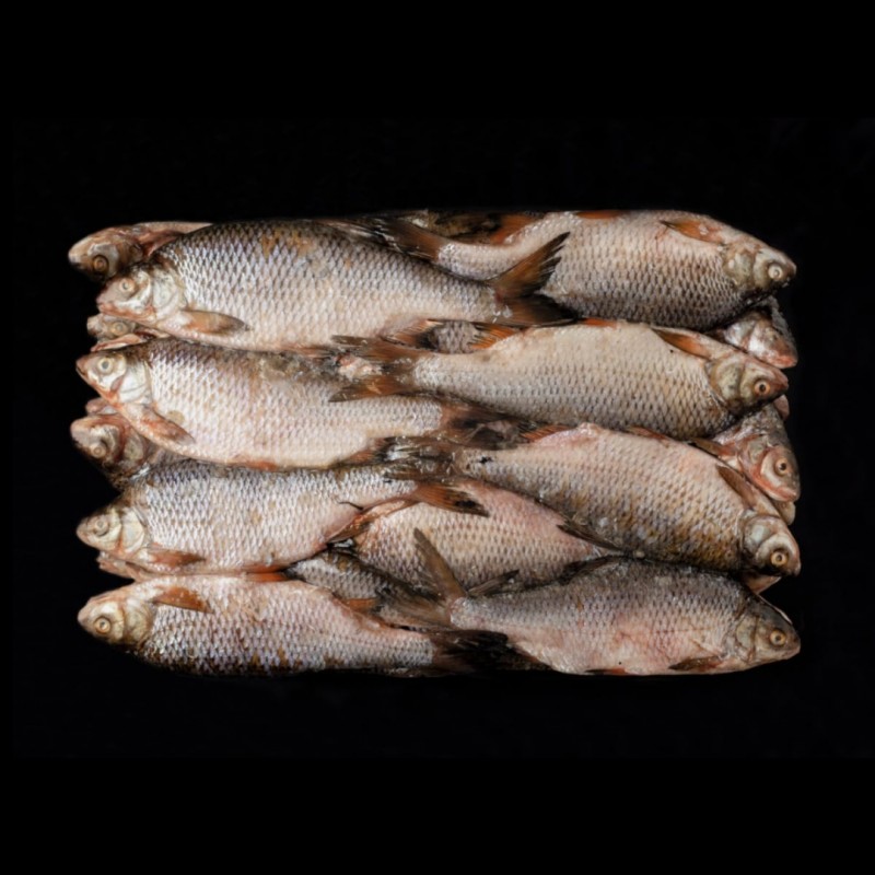 Фото 3. ТОВ РИБТРЕЙД реалізовує якіну річкову рибу в аортименті