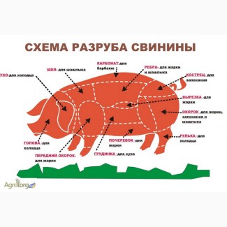 Пропонуємо субпродукти яловичі та свинні
