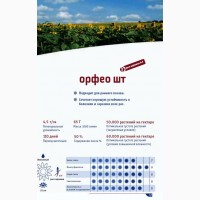 Насіння соняшнику Орфео (Штрубе), вр 2018 р - найвищий вихід олії з гектару