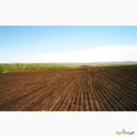Покупка корпоративних прав на землю сельхозназначения от 800 га